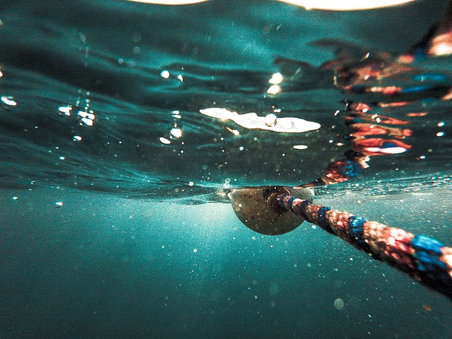rope underwater, sea, swimming, nature, close-up, day, outdoors HD wallpaper