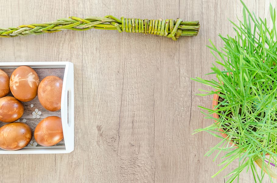 Flat Lay Photography of Eggs and Green Plant on Top of Table HD wallpaper