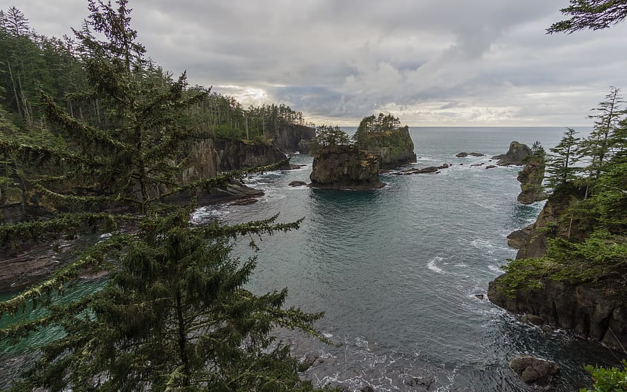 nature, rock, cloud, landscape, pacific, washinton, tree, ocean HD wallpaper