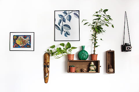 assorted wall decors, shelf, picture, frame, indoor, interior HD wallpaper