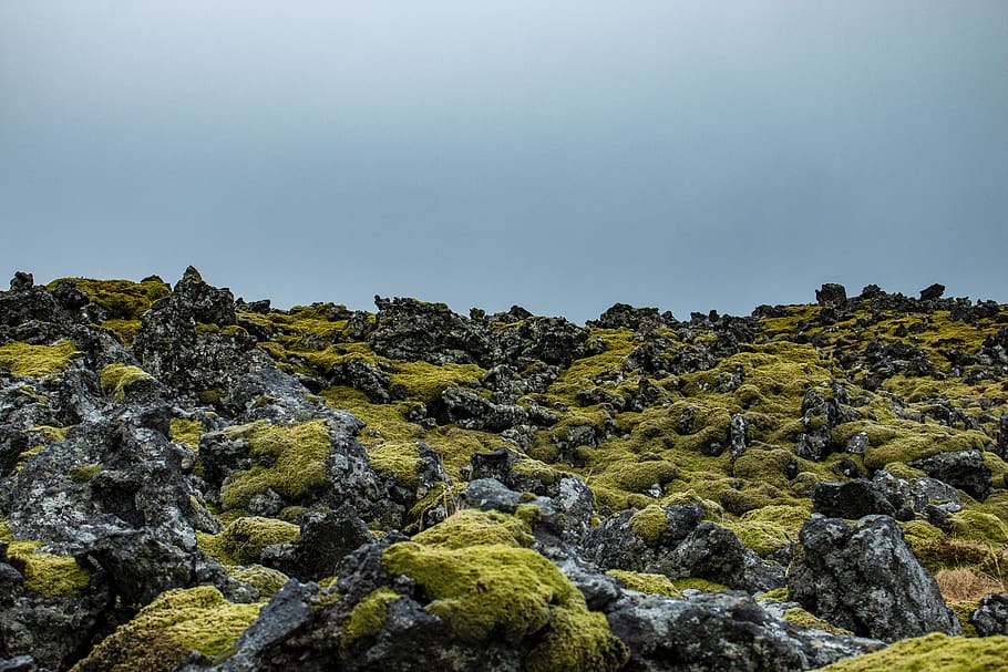 iceland, moss, green, rock, sky, rock - object, solid, beauty in nature HD wallpaper