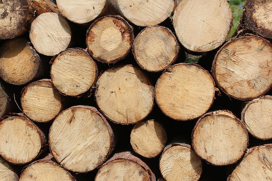 stack of cut log, full frame, timber, backgrounds, large group of objects HD wallpaper