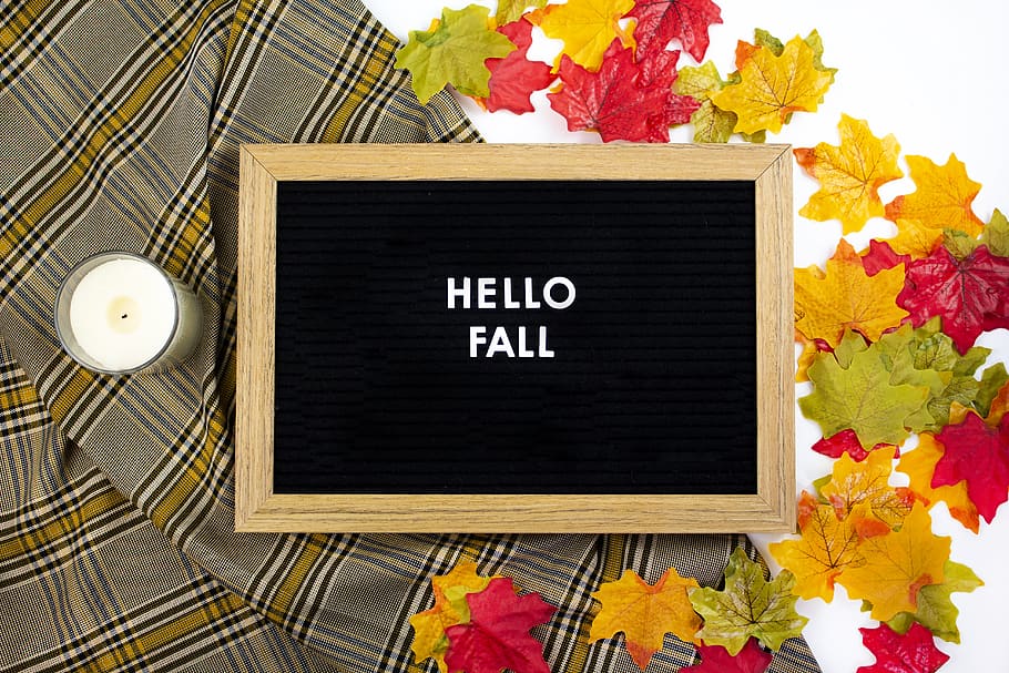 chalkboard with hello fall text, flora, maple leaf, plant, tartan HD wallpaper