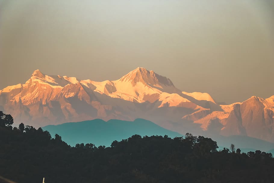 mountain alp and tree, beauty in nature, scenics - nature, tranquil scene HD wallpaper