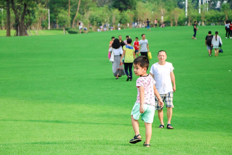 grass, green color, women, real people, plant, childhood, group of people HD wallpaper