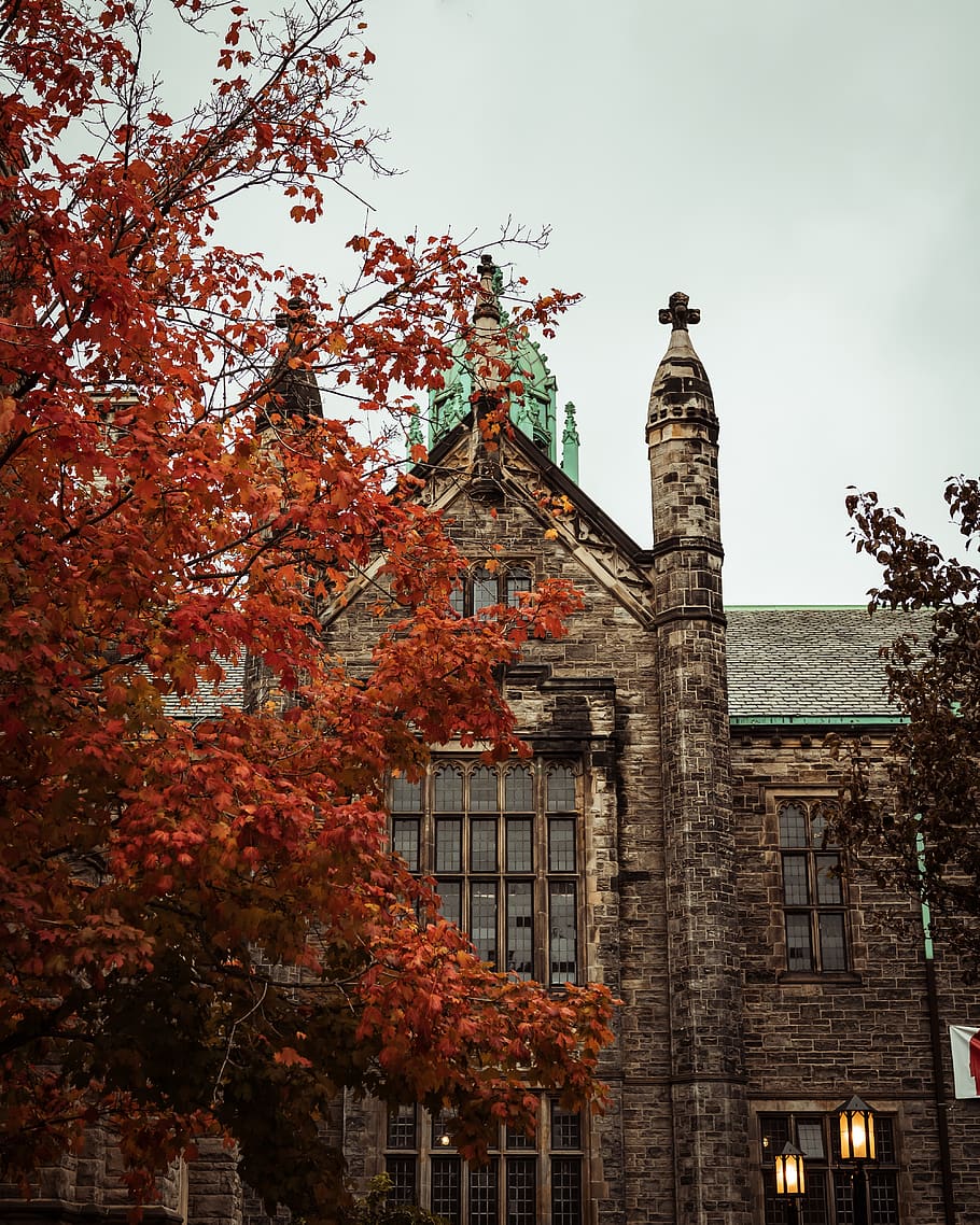 Fall, Autumn, Architecture, Toronto, City, Urban, Trees, Building HD wallpaper