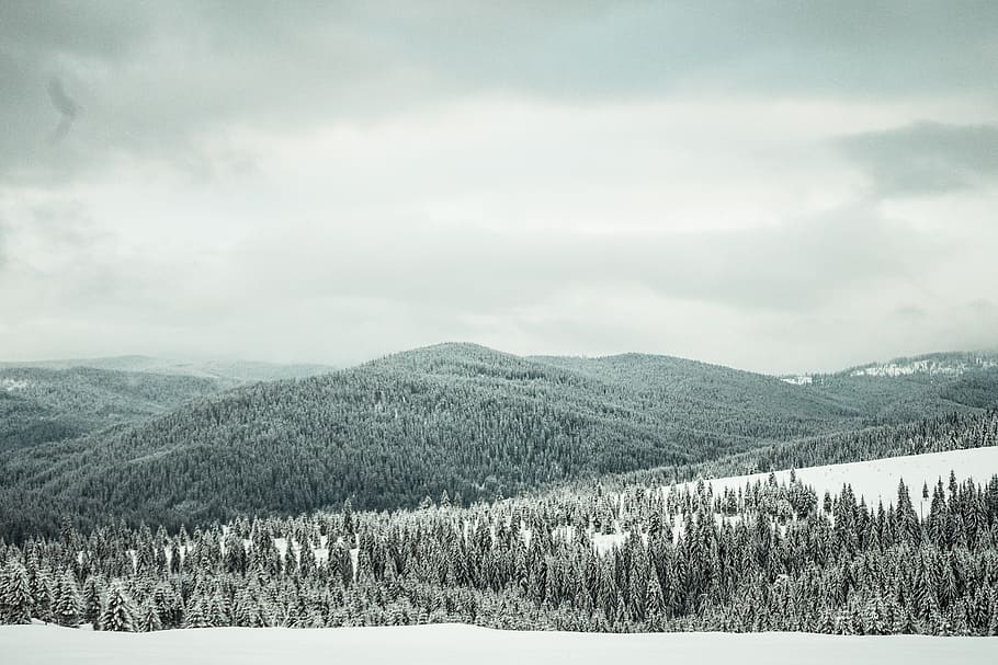 Mountain Covered With Snow, black and white, clouds, cloudy, cold HD wallpaper