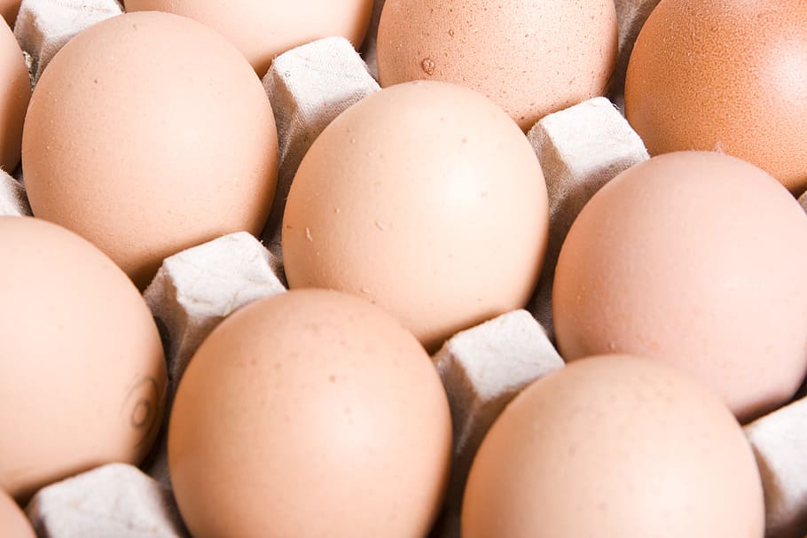 chicken, chicks, cholesterol, close-up, concepts, dairy, easter HD wallpaper
