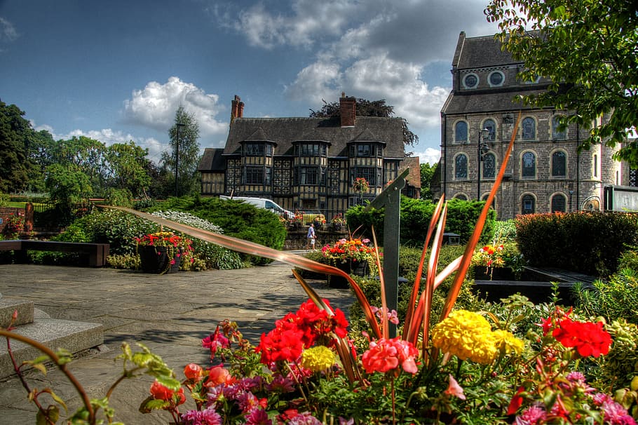 shrewsbury, shropshire, town, architecture, plant, flower, flowering plant