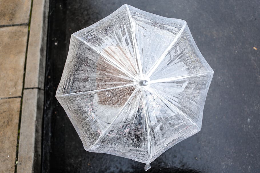 clear plastic umbrella, rain, street, storm, wet, rainign, sidewalk