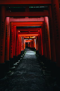 red archway, gate, torii, corridor, column, architecture, pillar HD wallpaper