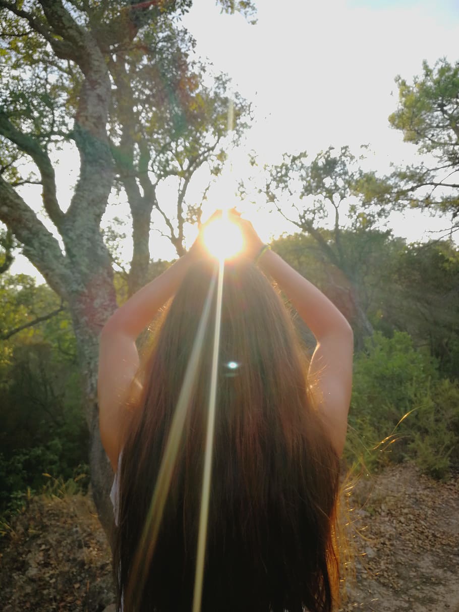 sun, light, trees, nature, forest, one person, lens flare, plant HD wallpaper