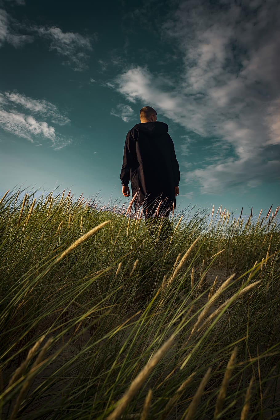 Man Standing On Grass, cropland, field, person, sky, real people HD wallpaper