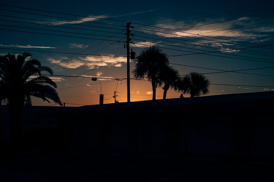 sunrise, palm trees, sky, clouds, morning, light, beautiful HD wallpaper