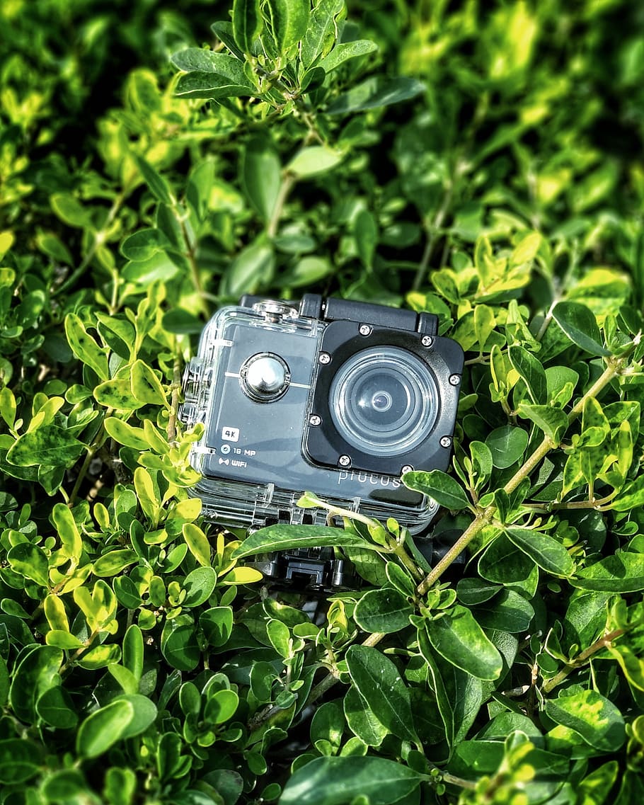 Gray and Black Action Camera on Green Leaves Plants, close-up HD wallpaper