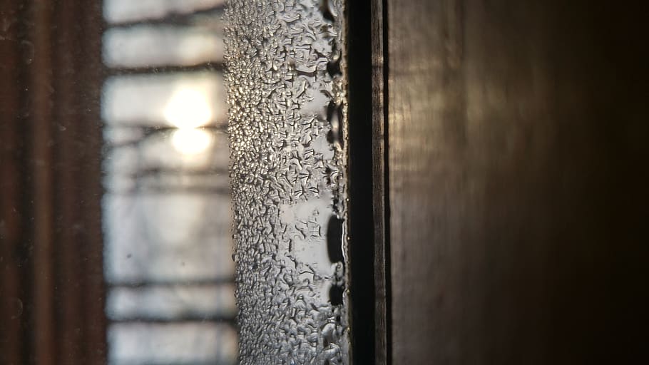 canada, nova scotia, no people, window, close-up, wood - material HD wallpaper