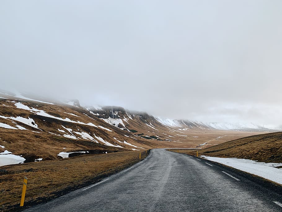 empty road between brown field at daytime, transportation, direction HD wallpaper