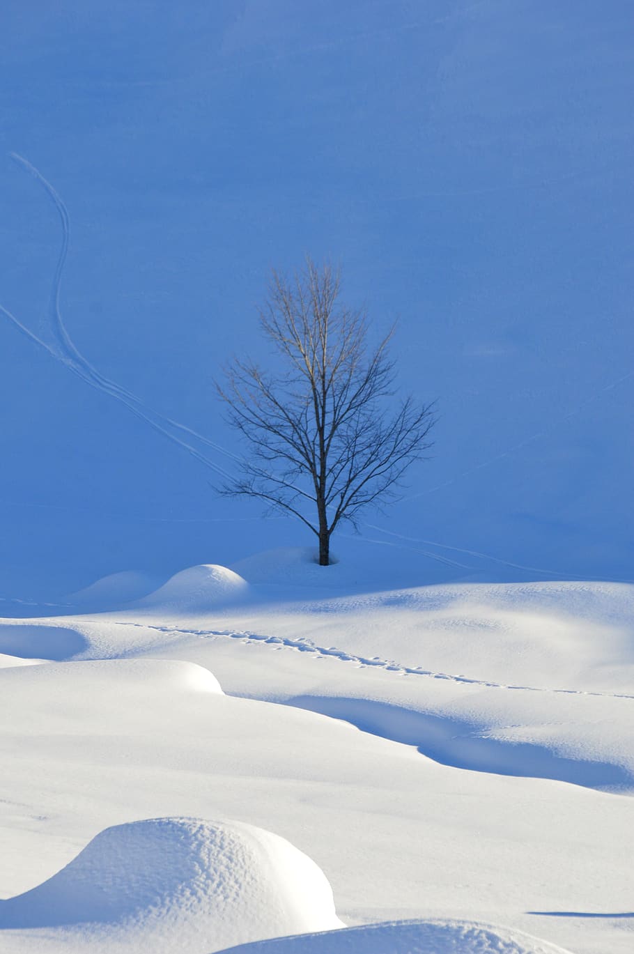 winter, snow, cold, alpine, snowflake, wintry, winter magic HD wallpaper