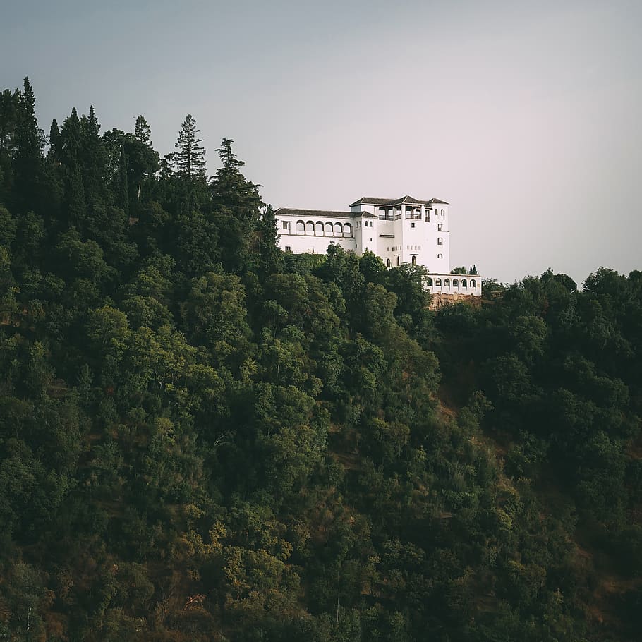 White House Surrounded by Trees, architecture, building, clouds HD wallpaper