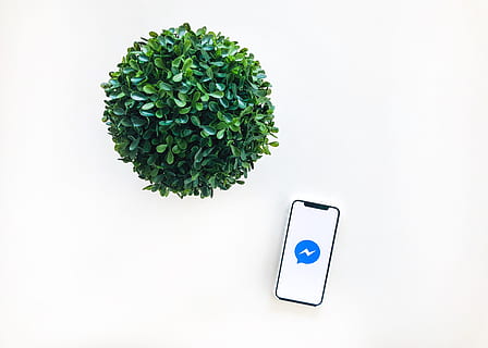 CRM, Messenger, Facebook, iPhone X, Plant, mobile, customer HD wallpaper