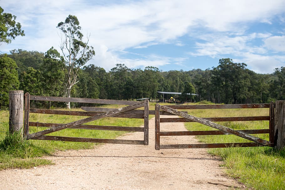 farm, sky, trees, timber, gate, grate, dirt, road, entry, plant HD wallpaper