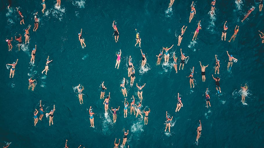 people doing swim during daytime, crowd, group of people, large group of people, HD wallpaper