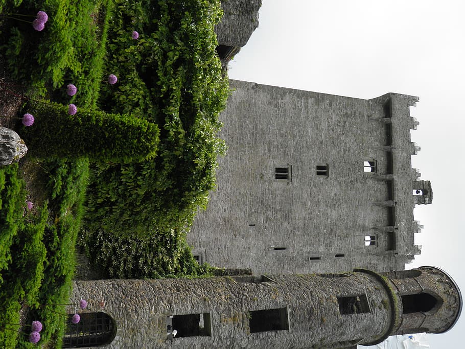 ireland, blarney, blarney castle, architecture, built structure, HD wallpaper