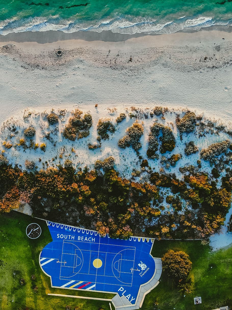 drone view, beach, tree, looking down, sea, ocean, coast, shore HD wallpaper