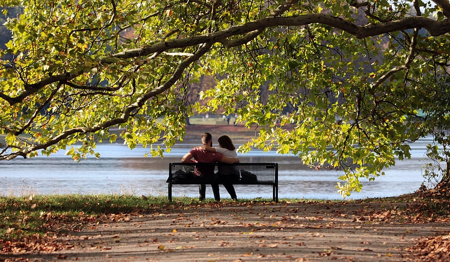 pair, bank, sit, love, man, woman, together, romantic, park, HD wallpaper