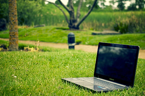 Gray and Black Laptop Computer on Grass Lawn Outdoors, digital nomad HD wallpaper
