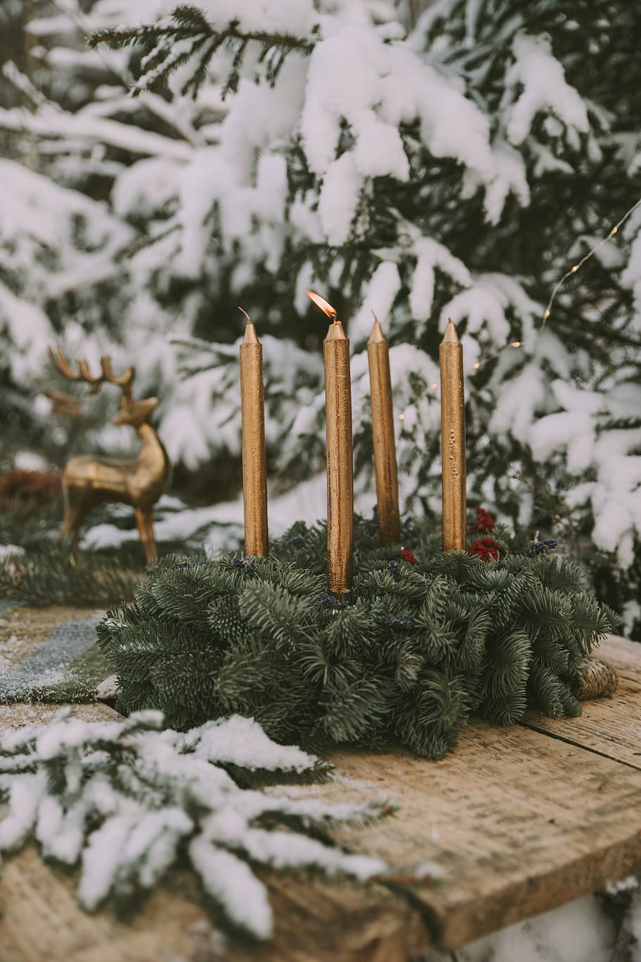 lighted candles on table by snow covered tree, winter, cold temperature HD wallpaper