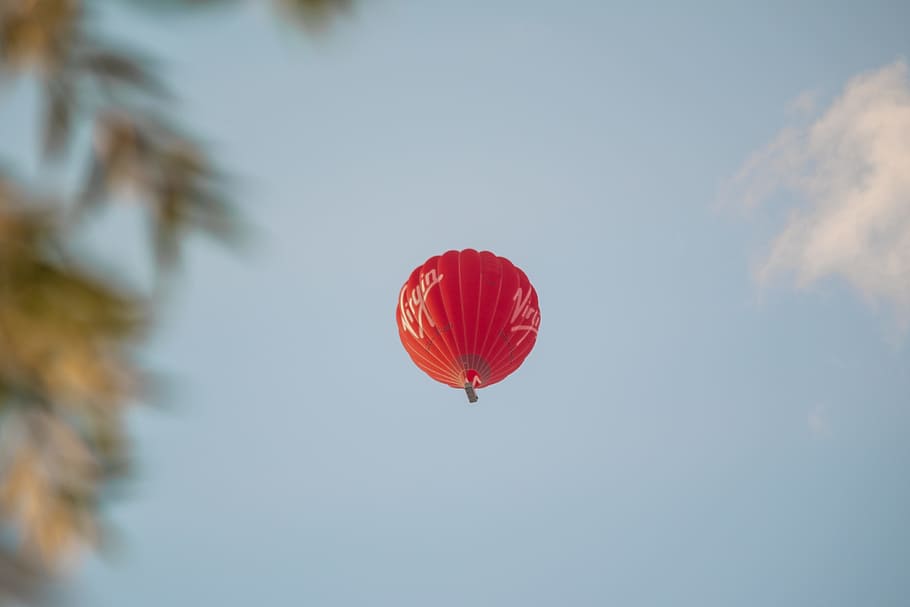 red hot air balloon, sky, blue, looking up, flight, fly, tree HD wallpaper