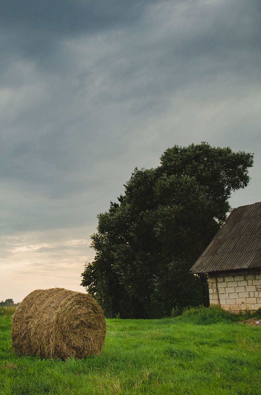 Photo of Hay on Grass Field, country, environment, nature, tree HD wallpaper