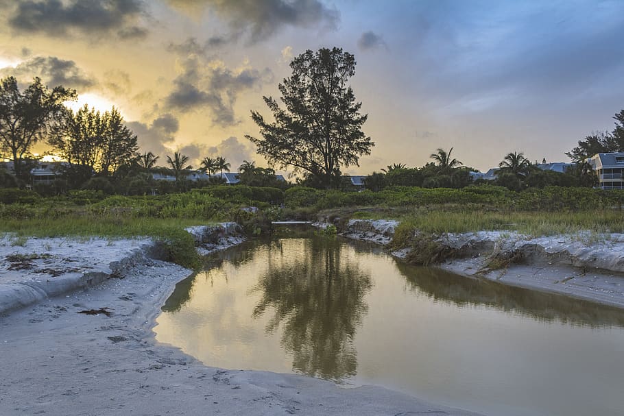 beach, reflection, reflections, nature, trees, sunset, ocean HD wallpaper