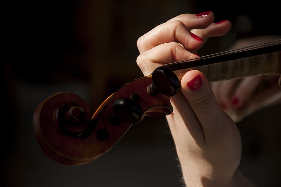 violin, music, human hand, string instrument, human body part HD wallpaper