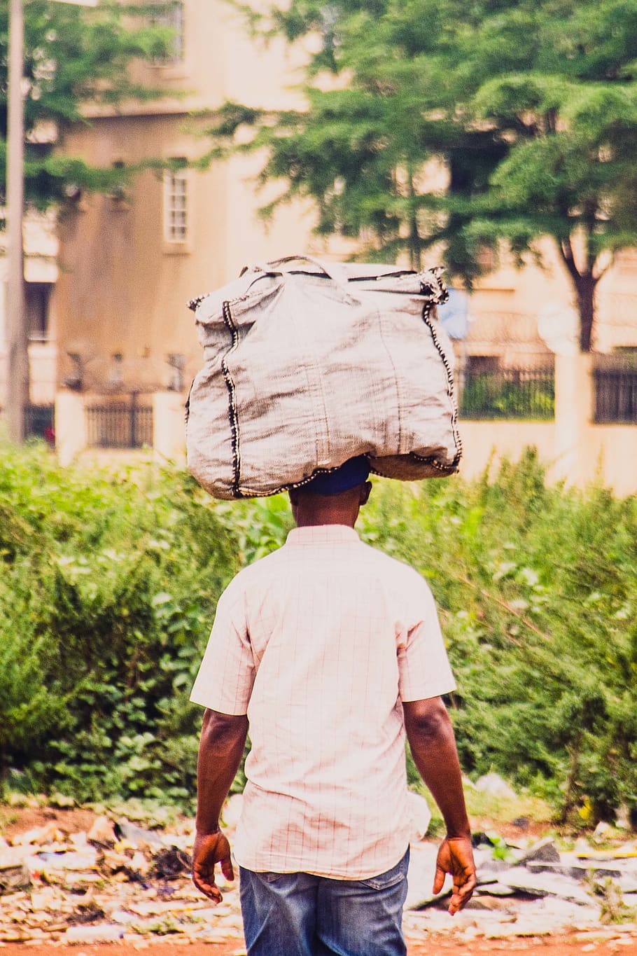 nigeria, abuja, bag, heavy, carry, hawker, load, african, man, HD wallpaper