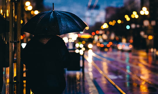 person walking on street while holding black umbrella near cars on road at nighttime HD wallpaper