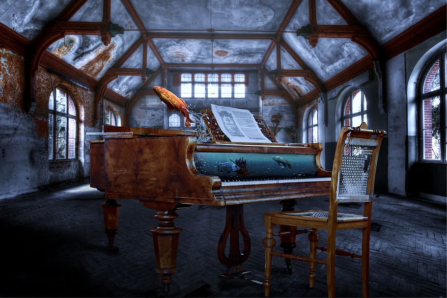 piano, wing, aquarium, fish, lost place, funny, composing, indoors HD wallpaper