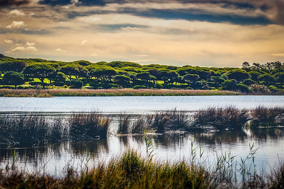 water, panoramic, river, reflection, lake, sky, landscape, scenic HD wallpaper