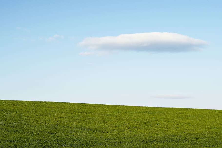 landscape, nature, grass, field, sky, cloud, clouds, green HD wallpaper