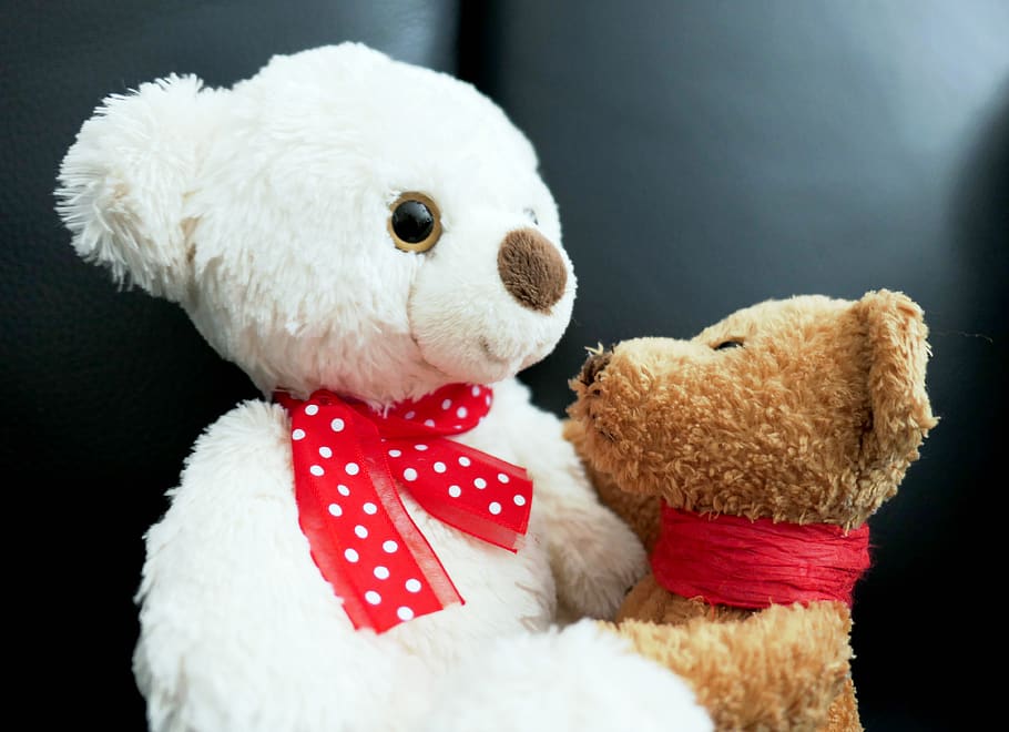 talk, bears, teddy, teddy bear, cute, toys, stuffed animal HD wallpaper