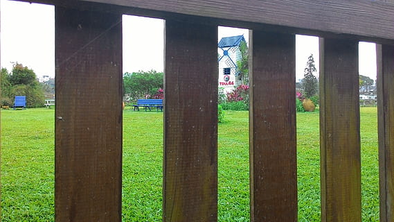 台灣, 桃園市, grass, plant, architecture, built structure HD wallpaper