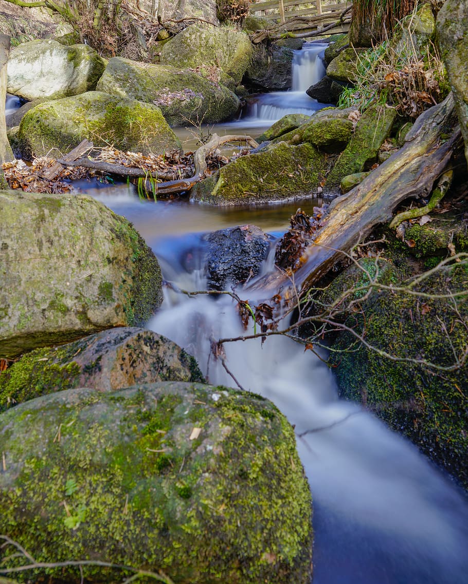 nature, outdoors, stream, river, creek, plant, waterfall, animal HD wallpaper