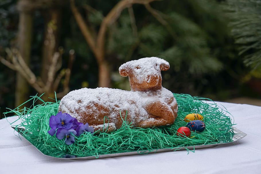 passover, cake, deep-fried, bakery, symbol, easter, food, sweet food HD wallpaper