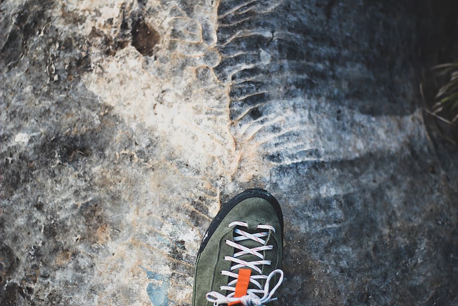 Unpaired Green Sneaker, dirty, retro, rough, rusty, shoelace HD wallpaper