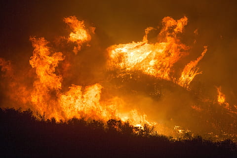 forest fire, wildfire, blaze, smoke, trees, los padres, national forest HD wallpaper
