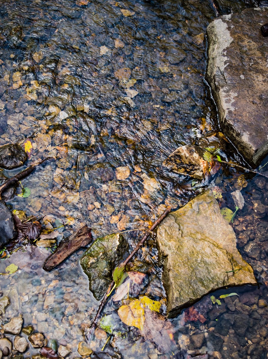 srteam, watter, running, river, pebbles, rocks, leaves, nautre HD wallpaper