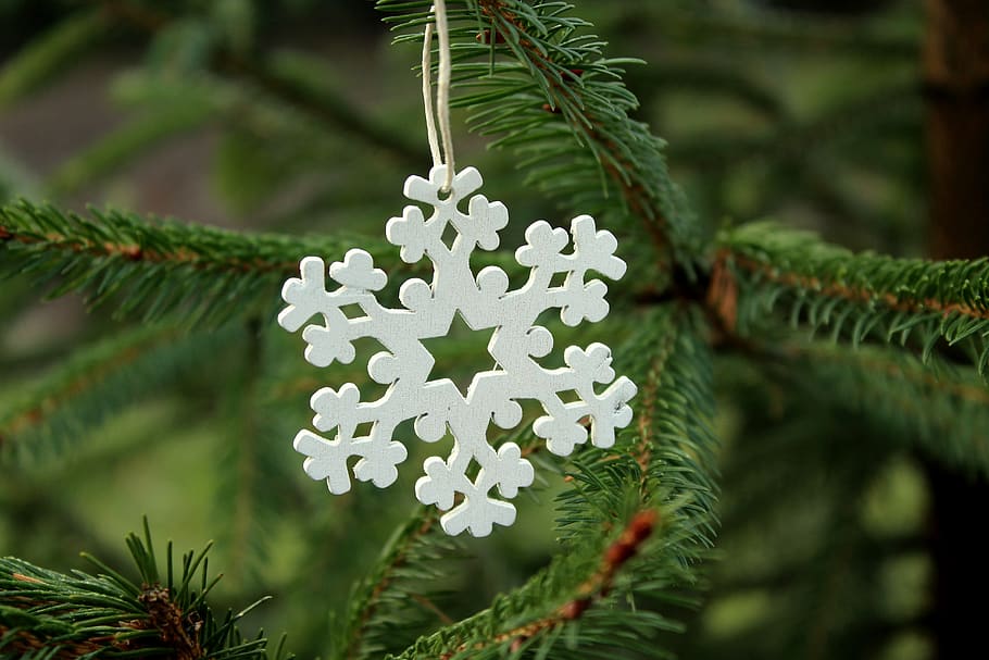 asterisk, white, spruce, christmas tree, ornament, decoration HD wallpaper