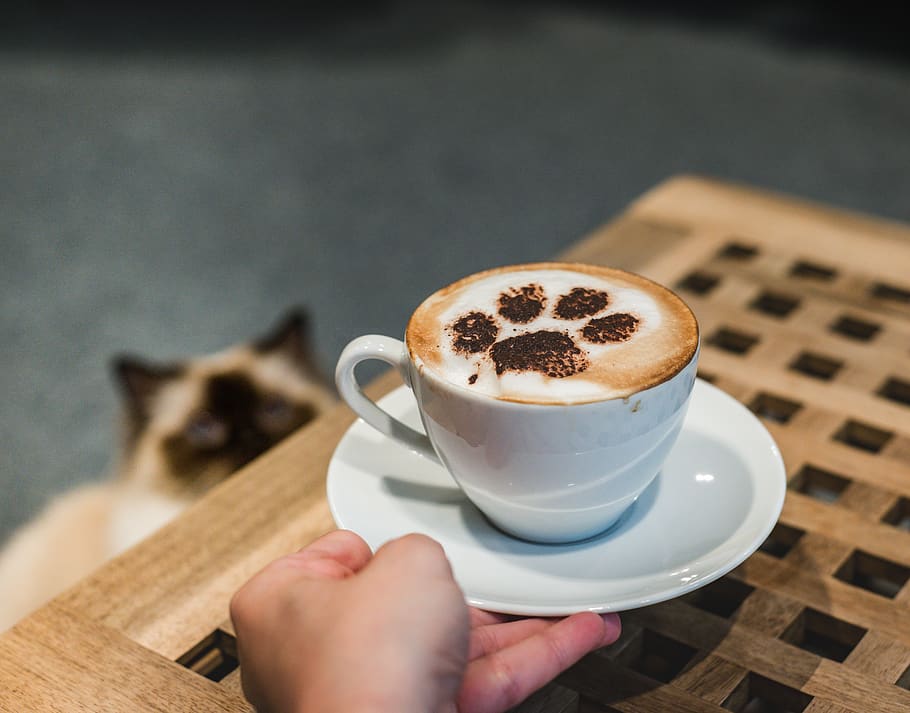united kingdom, edinburgh, coffee, coffee - drink, coffee cup HD wallpaper