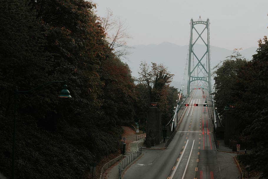 gray bridge surrounded of trees, plant, transportation, road HD wallpaper